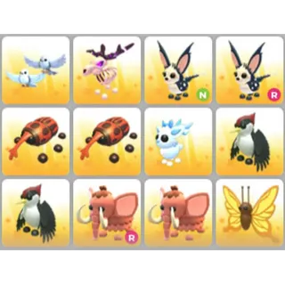 BUNDLE PET X12