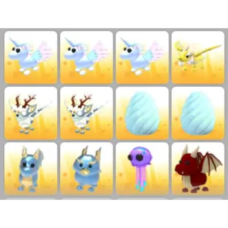 BUNDLE PET X12