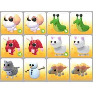 BUNDLE PET X12