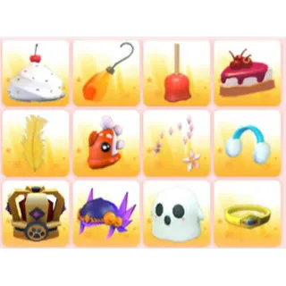 BUNDLE PET WEAR X12