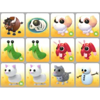 BUNDLE PET X12