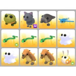 BUNDLE PET X12