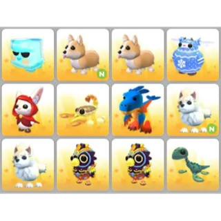 BUNDLE PET X12