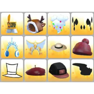 BUNDLE PET WEAR X12