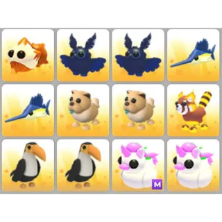 BUNDLE PET X12