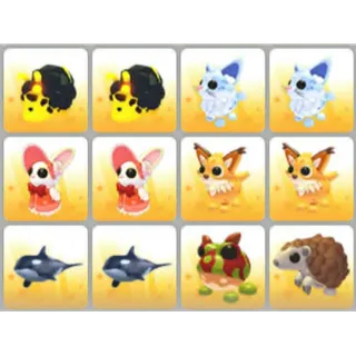 BUNDLE PET X12