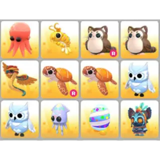 BUNDLE PET X12