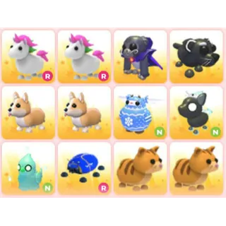 BUNDLE PET X12