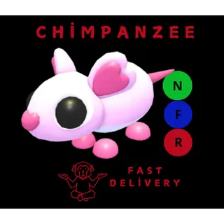 SWEETHEART RAT NFR