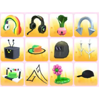 BUNDLE PET WEAR X12
