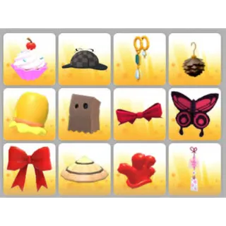 BUNDLE PET WEAR X12