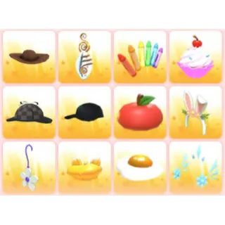 BUNDLE PET WEAR X12