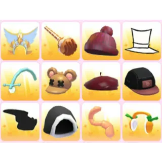 BUNDLE PET WEAR X12