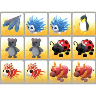 BUNDLE PET X12