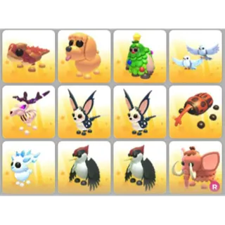 BUNDLE PET X12
