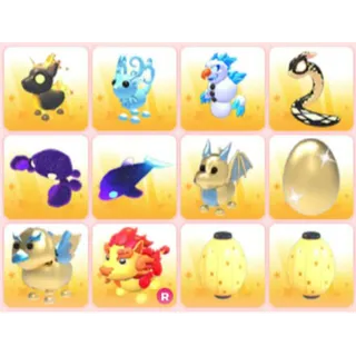BUNDLE PET X12
