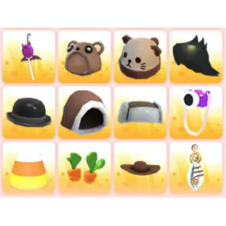 BUNDLE PET WEAR X12