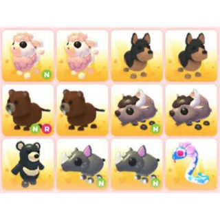 BUNDLE PET X12