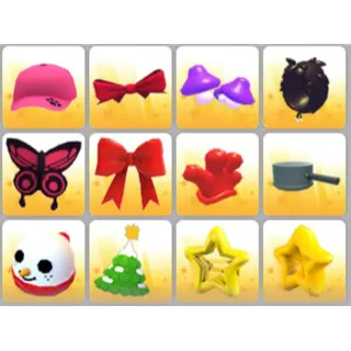 BUNDLE PET WEAR X12