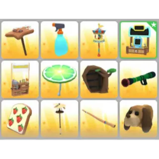 BUNDLE PET X12