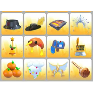 BUNDLE PET WEAR X12