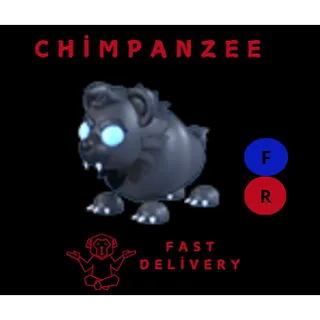 SCAREBEAR FR
