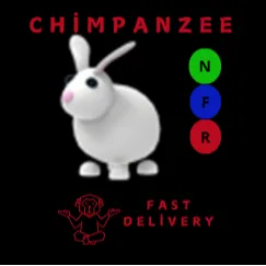 Rabbit NFR