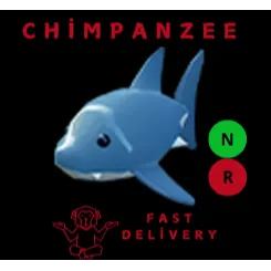 SHARK NR