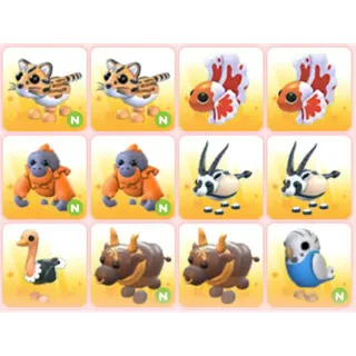 BUNDLE PET X12