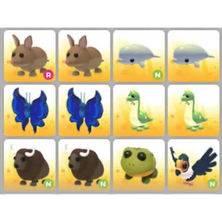 BUNDLE PET X12