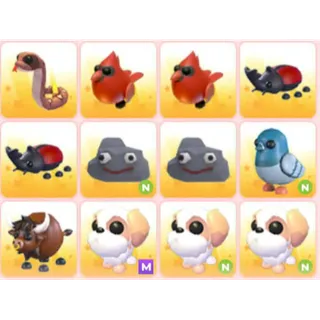 BUNDLE PET X12