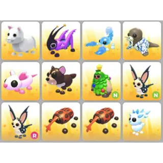 BUNDLE PET X12