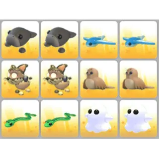 BUNDLE PET X12