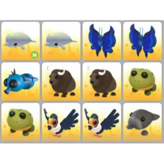 BUNDLE PET X12