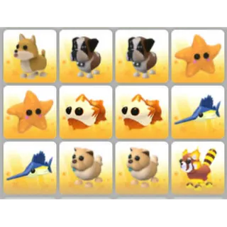 BUNDLE PET X12