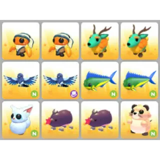 BUNDLE PET X12