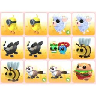BUNDLE PET X12