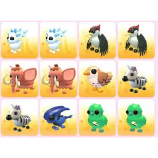 BUNDLE PET X12