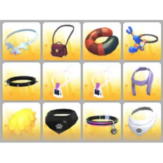 BUNDLE PET WEAR X12