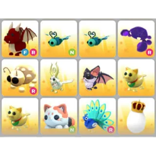 BUNDLE PET X12