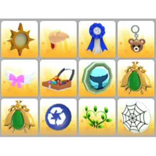 BUNDLE PET WEAR X12