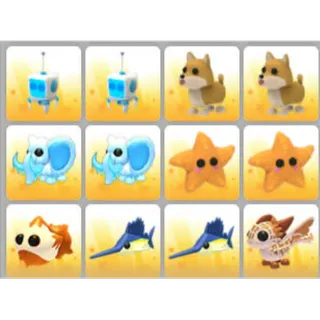 BUNDLE PET X12