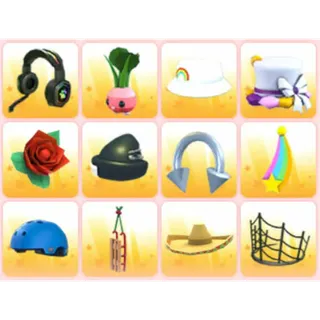 BUNDLE PET WEAR X12