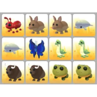 BUNDLE PET X12