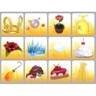 BUNDLE PET WEAR X12