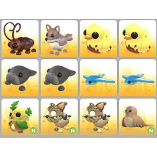 BUNDLE PET X12