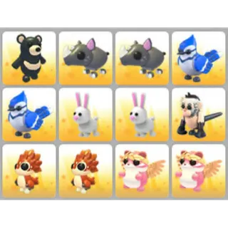 BUNDLE PET X12