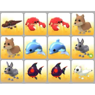 BUNDLE PET X12