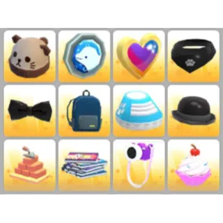 BUNDLE PET WEAR X12