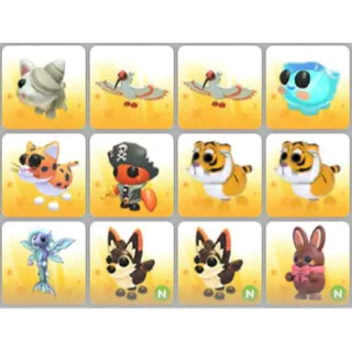 BUNDLE PET X12